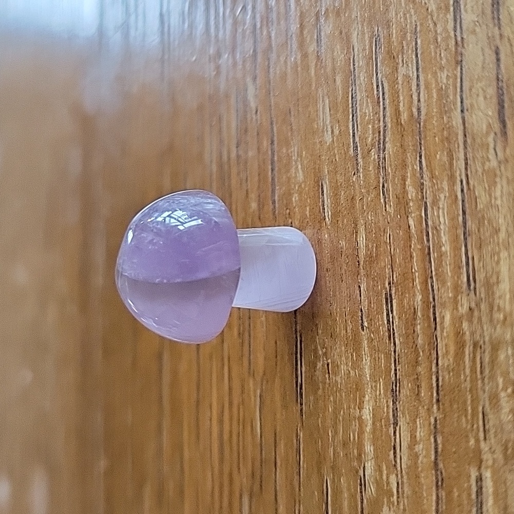 Amethyst mushroom
